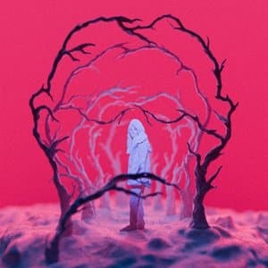 Bide Ilunek Argitzen Zuten Dena