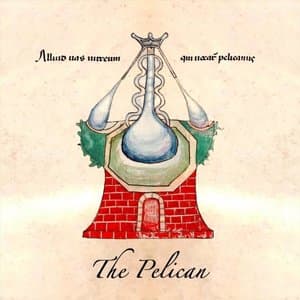 The Pelican