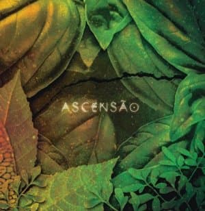 Ascensao