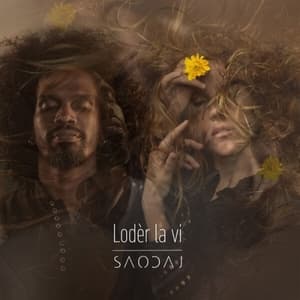 Loder la vi