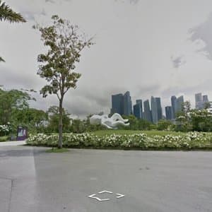 South from the Future