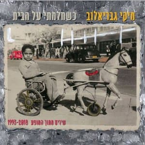 KHSHHlmty `l hbyt SHyrym mtvKH hmvp` 1993-2018