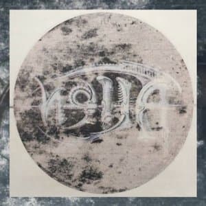 Hallucination Review