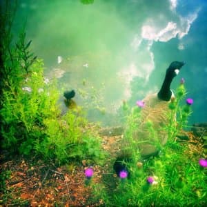 Witch Way to Inner Trails