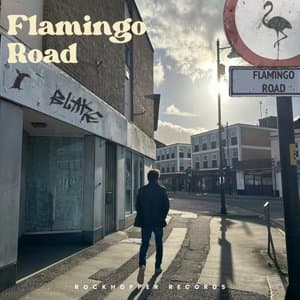 Flamingo Road