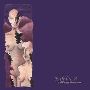 A Different Dimension