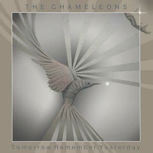 Tomorrow Remember Yesterday