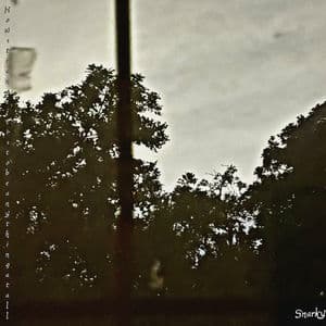 how strange it is to be anything at all