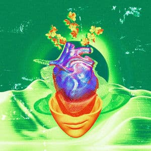 My Soul is A Wasteland