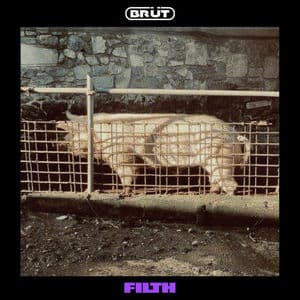 Filth