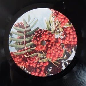 Dissection Lente dun Piano Rouille