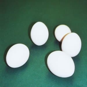 FIVE EGGS