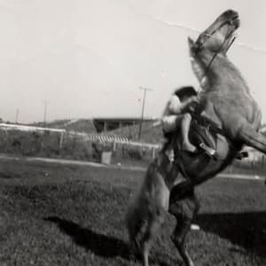 A Horse Named Proletariat (Extended)