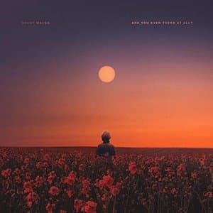 Are You Even There at All?