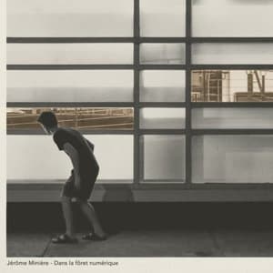Dans la foret numerique