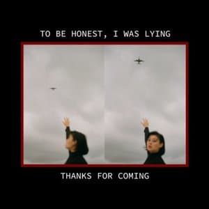 to be honest, i was lying