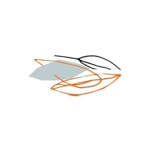 I Suppose Im Your Future