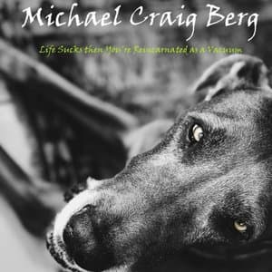 Life Sucks Then Youre Reincarnated as a Vacuum