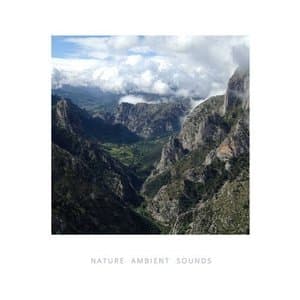 Nature Ambient Sounds for Meditation