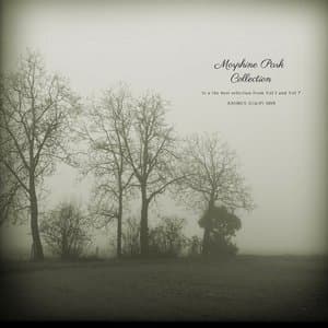 Morphine Park Collection