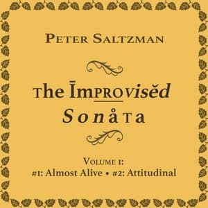 The Improvised Sonata: Volume 1