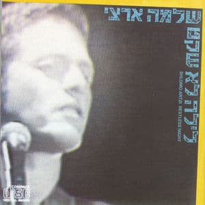 לילה לא שקט