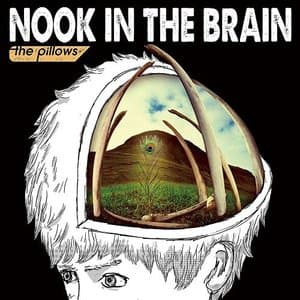 NOOK IN THE BRAIN