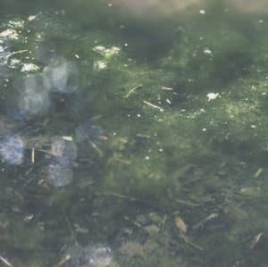 Places Real and Imagined