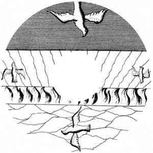 LES CHAMPS LISSAJOUS