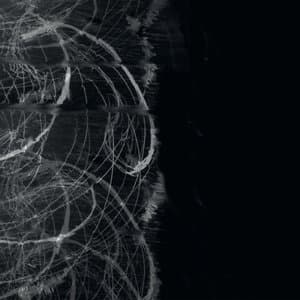 ...Something about bathrooms and schizophrenia