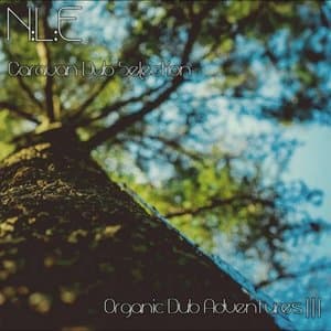 Caravan Dub Selection [Organic Dub Adventures |||]