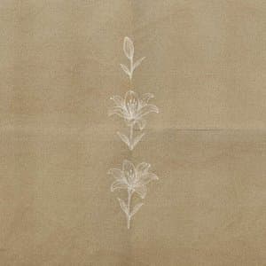 Falling Open (feat. Jordan Critz)