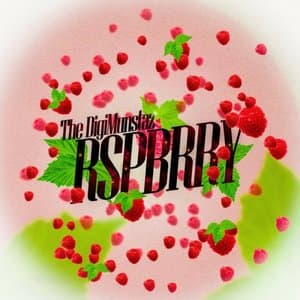 RspBrry