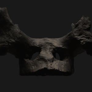 The Seven Oracles of Gog Magog