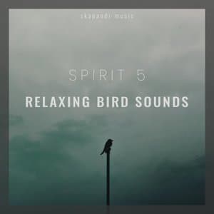 Relaxing Bird Sounds