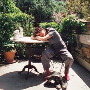 bunny with tunnel vision