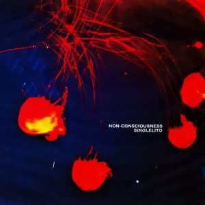 Non-Consciousness