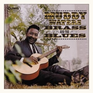 Muddy, Brass & The Blues
