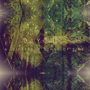 A Different Sense Of Time