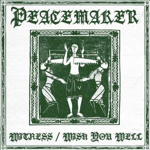 WITNESS / WISH YOU WELL