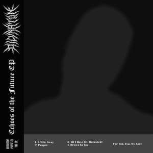 Echoes of the Future