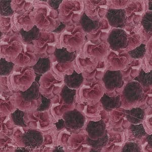 even then my lights do not fade