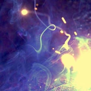 Northern Lights g Phecda