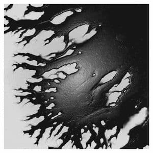 Muerte del Cegador - Gran Rosa Estudio (En Vivo)