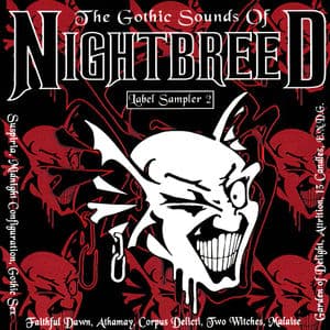 The Gothic Sounds of Nightbreed 2