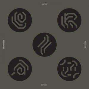 Ultra Random Analog Orchestra (Digital Album)