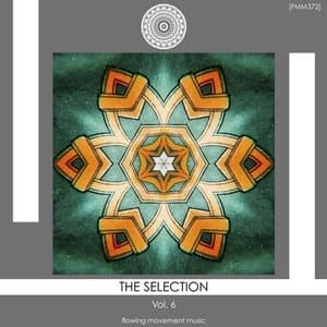The Selection, Vol. 6