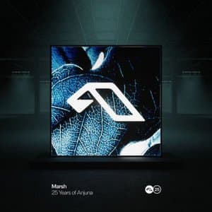 25 Years Of Anjuna Mixed By Marsh