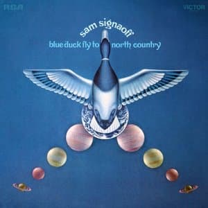 Blue Duck Fly to North Country