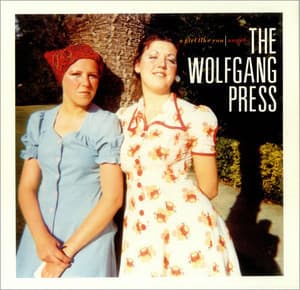 A Girl Like You / Angel